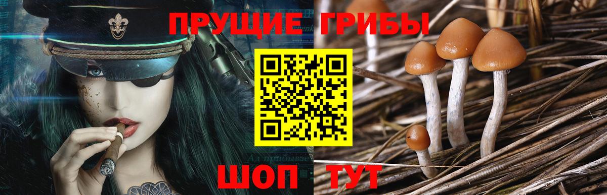 Галлюциногенные грибы прущие грибы Дзержинск